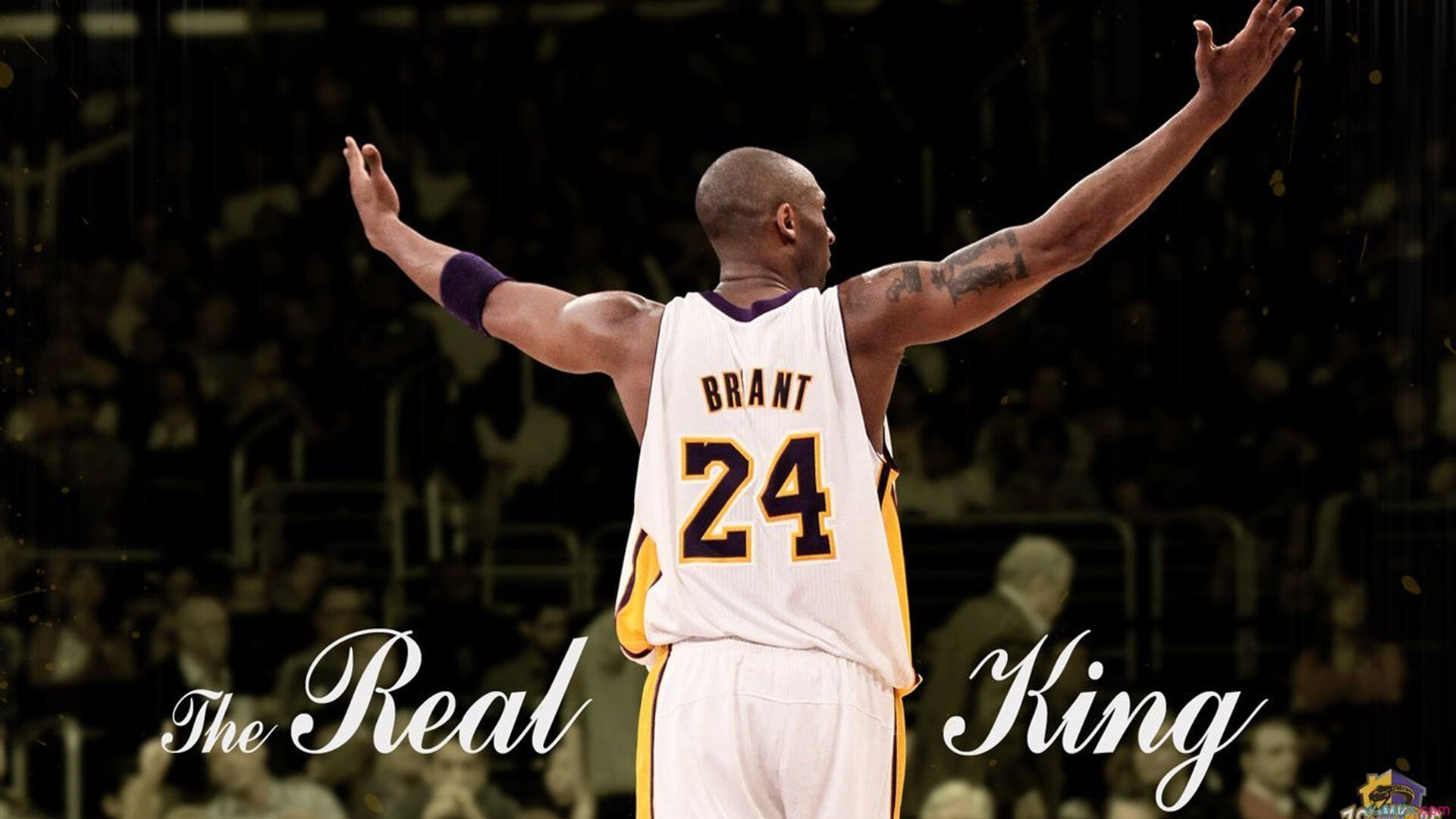 主力轮换带来的战术多样性解析,主力轮换带来的战术多样性解析是什么