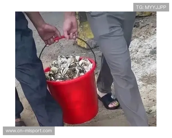 惠州海鲜大增，台风带动渔业发展，惠州台风最新消息今天