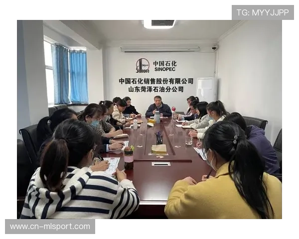 职业战队的财务风险控制与运营策略